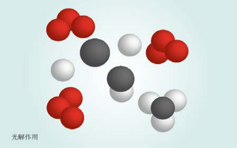 萬綠通環(huán)?？萍?png