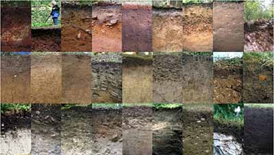 土壤環(huán)境檢測.jpg 土壤環(huán)境檢測.jpg